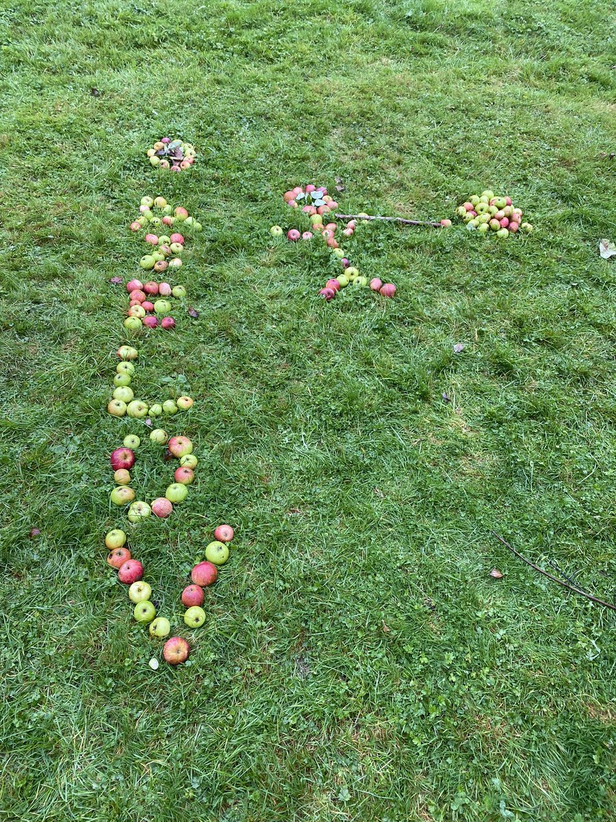 AliTindal's tweet photo. We are almost back at Tindal….. What a wonderful stay @YHA Wye Valley. We learnt lots of new skills &amp; had a great time connecting with nature. @arktindal #greenery #nature #insects #birds #campfire https://t.co/kSj5A6izil