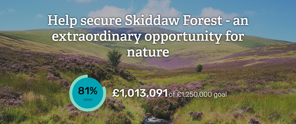 Our #SkiddawForest fundraiser hit £1million today...! 🤯 We're so incredibly close to securing this 3000-acre area of land for nature. 

Could you be part of this story? Donate now 👇
wtru.st/Skiddaw-Forest…