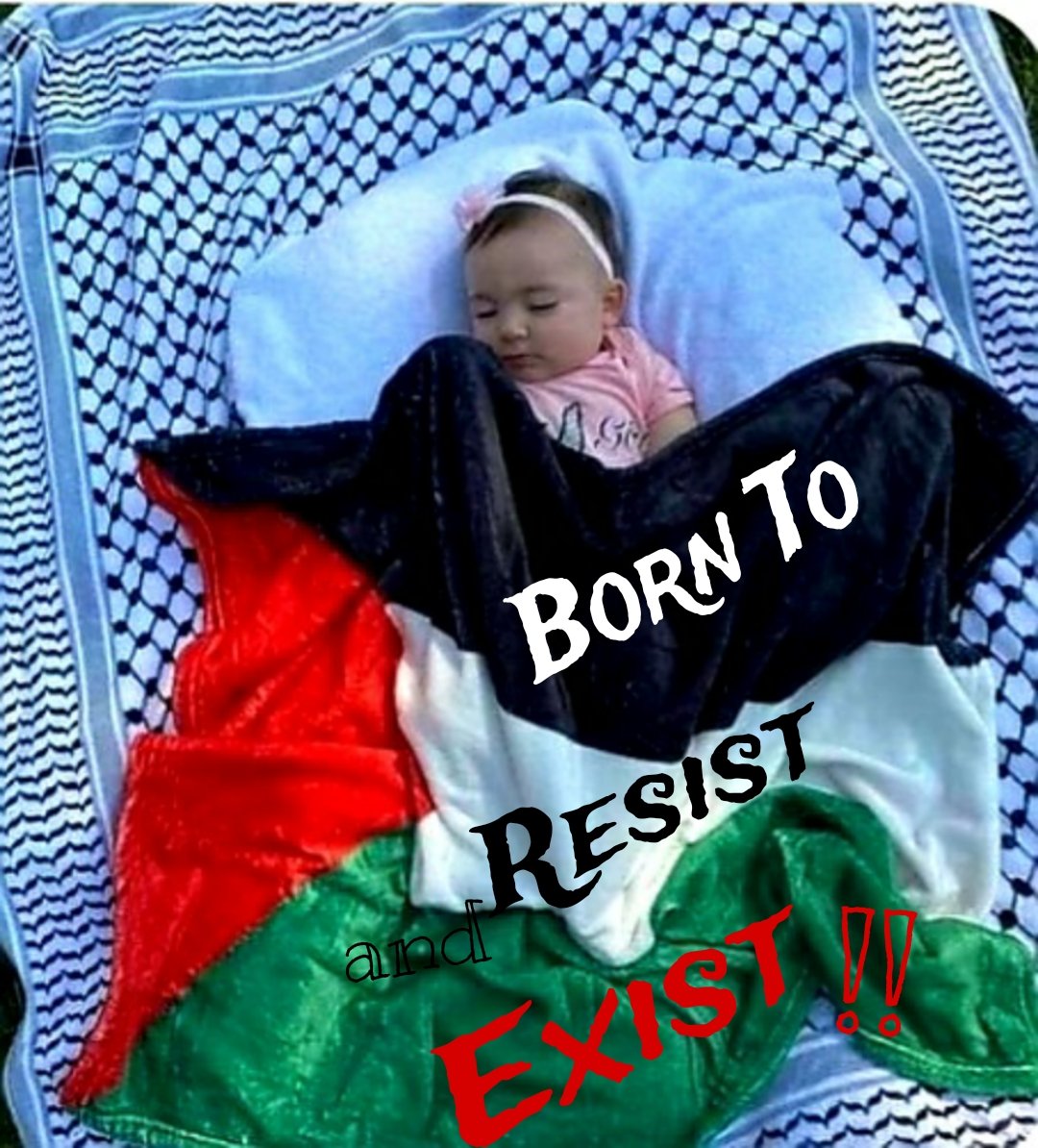 lolams768's tweet photo. In Gaza we are facing the most documented genocide in history and it is not enough to oppose it, international organizations have to act as they would if the victims were European! Otherwise it is complicity! That is why
#ONUCriminal https://t.co/0kR9QvUh0s