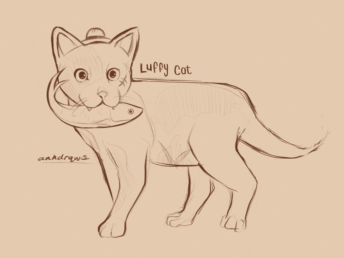 anhdrqws's tweet photo. kitty study turned into luffy wtf :/ 

#onepiece #luffy https://t.co/m226WzeA09