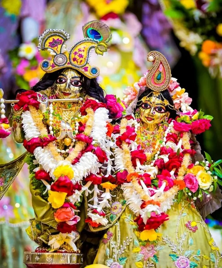 jui39531's tweet photo. শুভ রাত্রি https://t.co/pFiMRCssVP