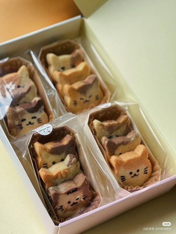 Dolce (@daily_dolce) on Twitter photo 