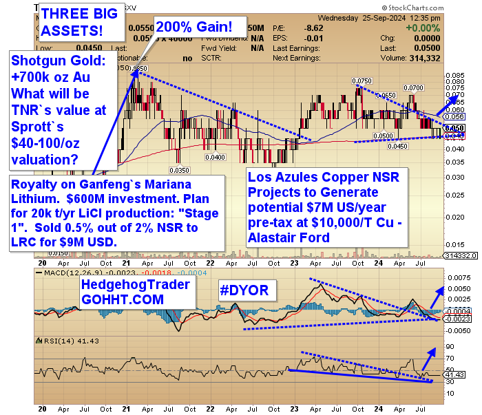 HedgehogTrader's tweet image. TNR Gold $TNR.V $TRRXF Ready to move higher after flurry of mining M&amp;amp;A activity in Copper, Lithium &amp;amp; Gold!  TNR Gold is a uniquely positioned microcap with significant cash flow starting in Q4!  📈📈📈 M&amp;amp;A #FiloMining #LundinMining #OsiskoMining #LatinResources