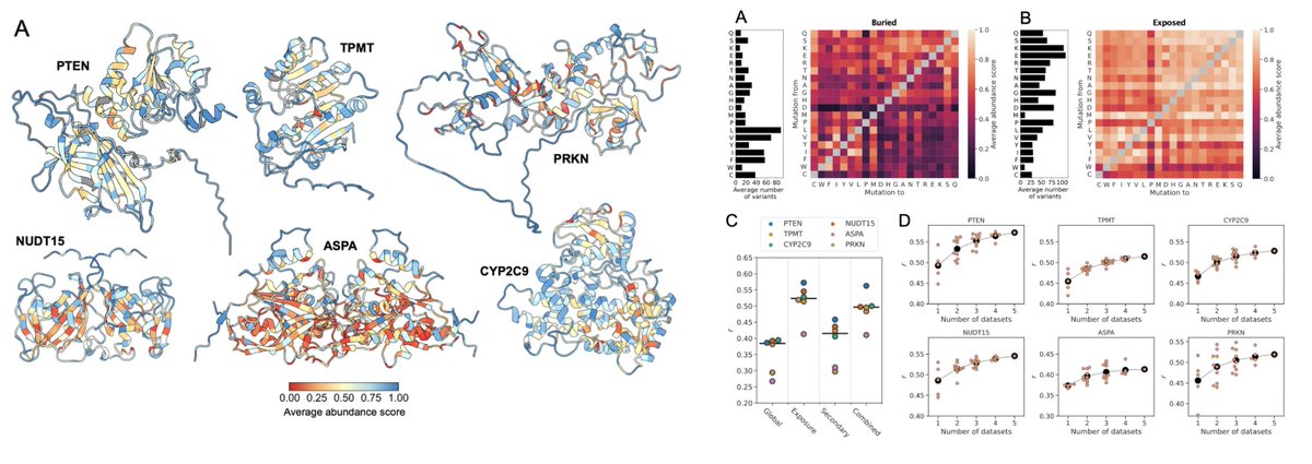 New preprint w @TKSchulze who analysed cellular abundance (VAMP-seq) data for ~32,000 variants of six proteins  

We find that much of the variation can be explained and predicted by a burial-dependent substitution matrix

Lots more goodies in the paper

doi.org/10.1101/2024.0…