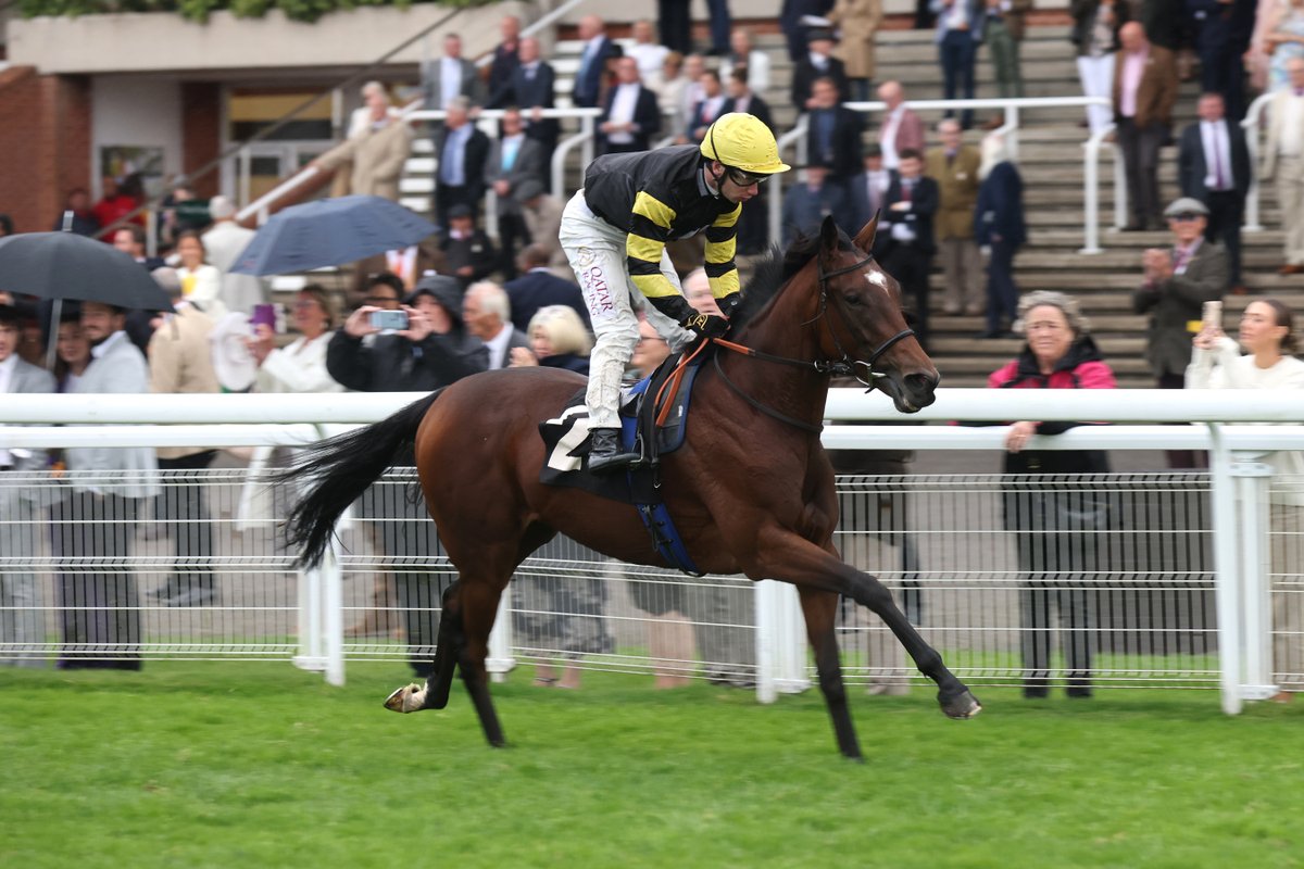 Goodwood Racecourse tweet media