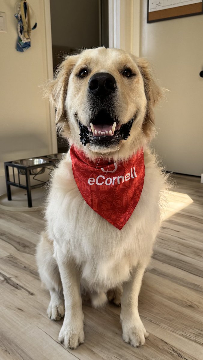 ecornell_online's tweet image. We pawsitively love him 🐾 Who&apos;s your #studybuddy?