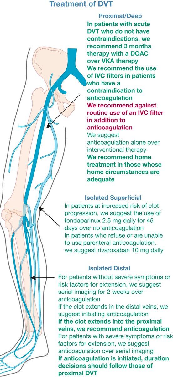 NephroP's tweet photo. The American College of Chest Physicians Antithrombotic Therapy for Venous Thromboembolism Disease evidence-based guidelines
🔗 https://t.co/fH735iZ7DR
#FOAMed #FOAMcc #CriticalCare https://t.co/pLSxApWdzq
