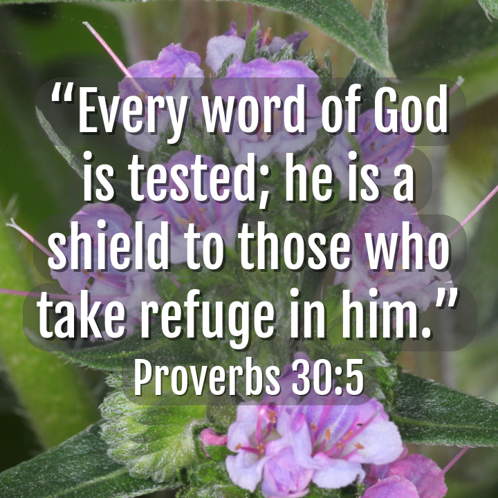 aicatholic's tweet image. #takerefuge 
(📸@aicatholic) #ai #OpenAI #ChatGPT #catholic #bible #CatholicTwitter