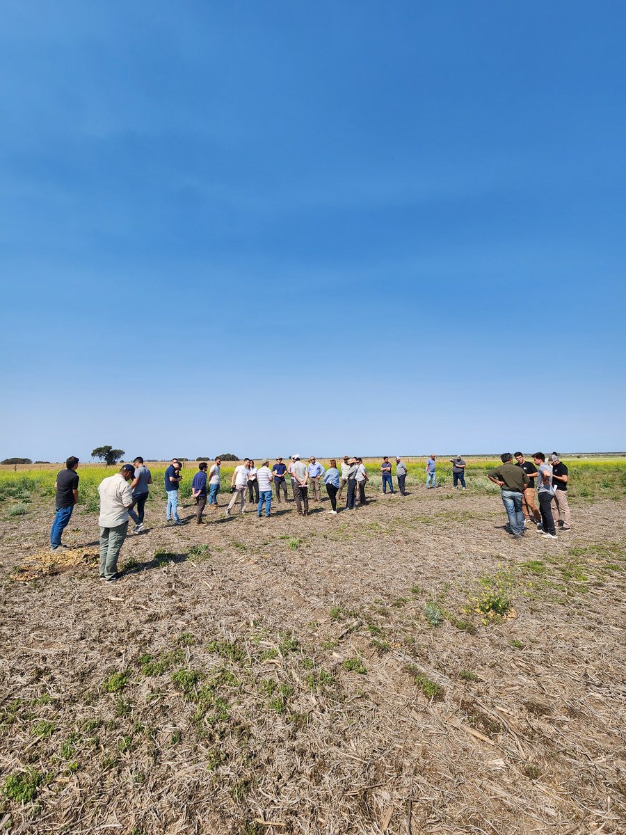 Nicolás Collazo tweet media