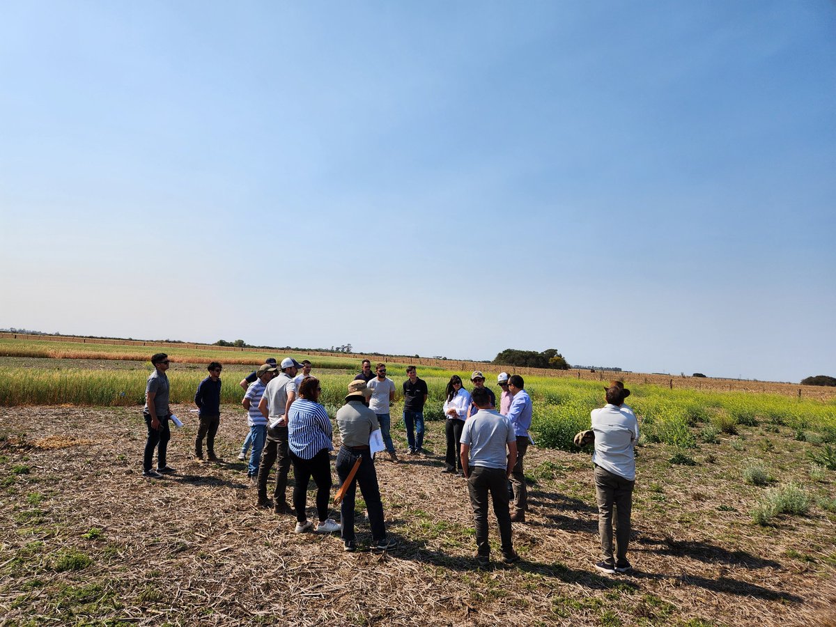 Nicolás Collazo tweet media