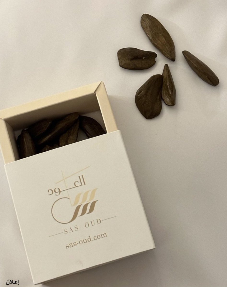 سولا | ‏𝓢𝓞𝓛𝓐 tweet media