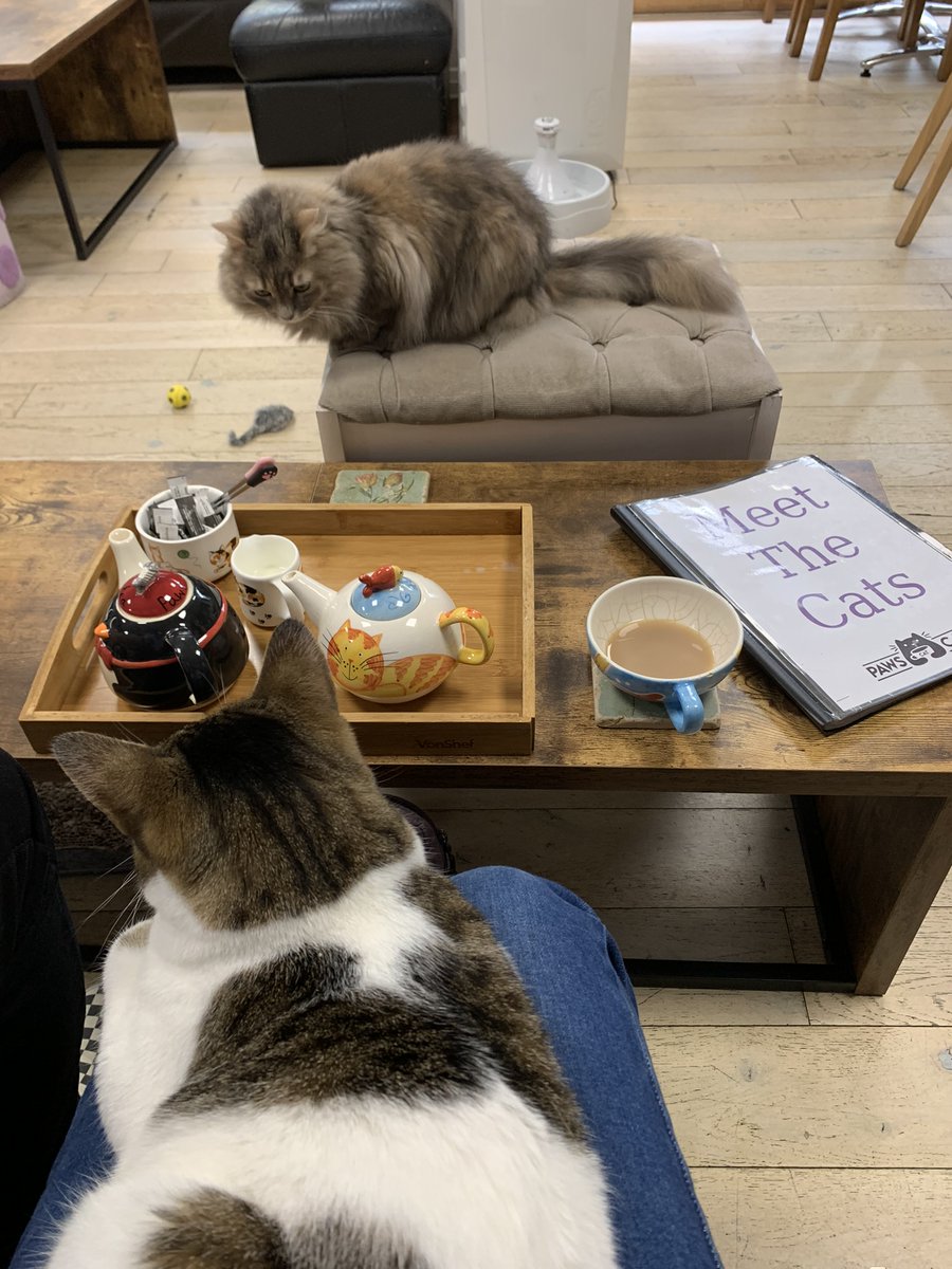 RotundaTheatre tweet media