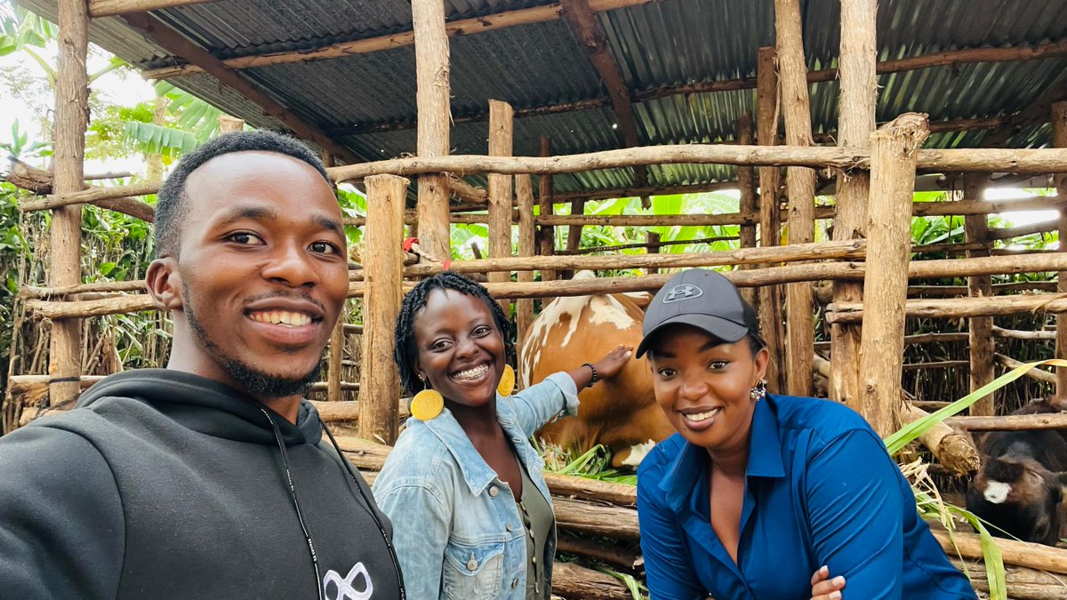 jcniyomugabo's tweet photo. Did you know that in Rwanda there is innovative farming called hydroponics fodder production?
It involves growing plants without soil for a short duration of 5-8 days.
Earlier today, I spent the whole morning in @GatsiboDistrict learning about the impact of @UNDP_Rwanda sustainable development projects in the @RwandaEast.
One of the amazing projects was animal feed production through a hydroponic system run by a Milk Collection Centre(MCC) in Rwimbogo Sector, Gatsibo District.
Read more here๐๐ผ
