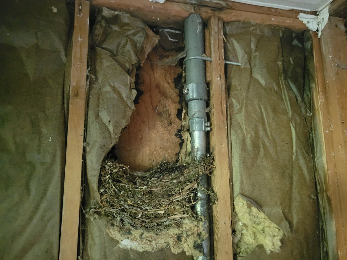 Big Fan of Building Science tweet media