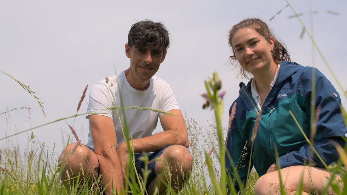 IWR Media tweet media