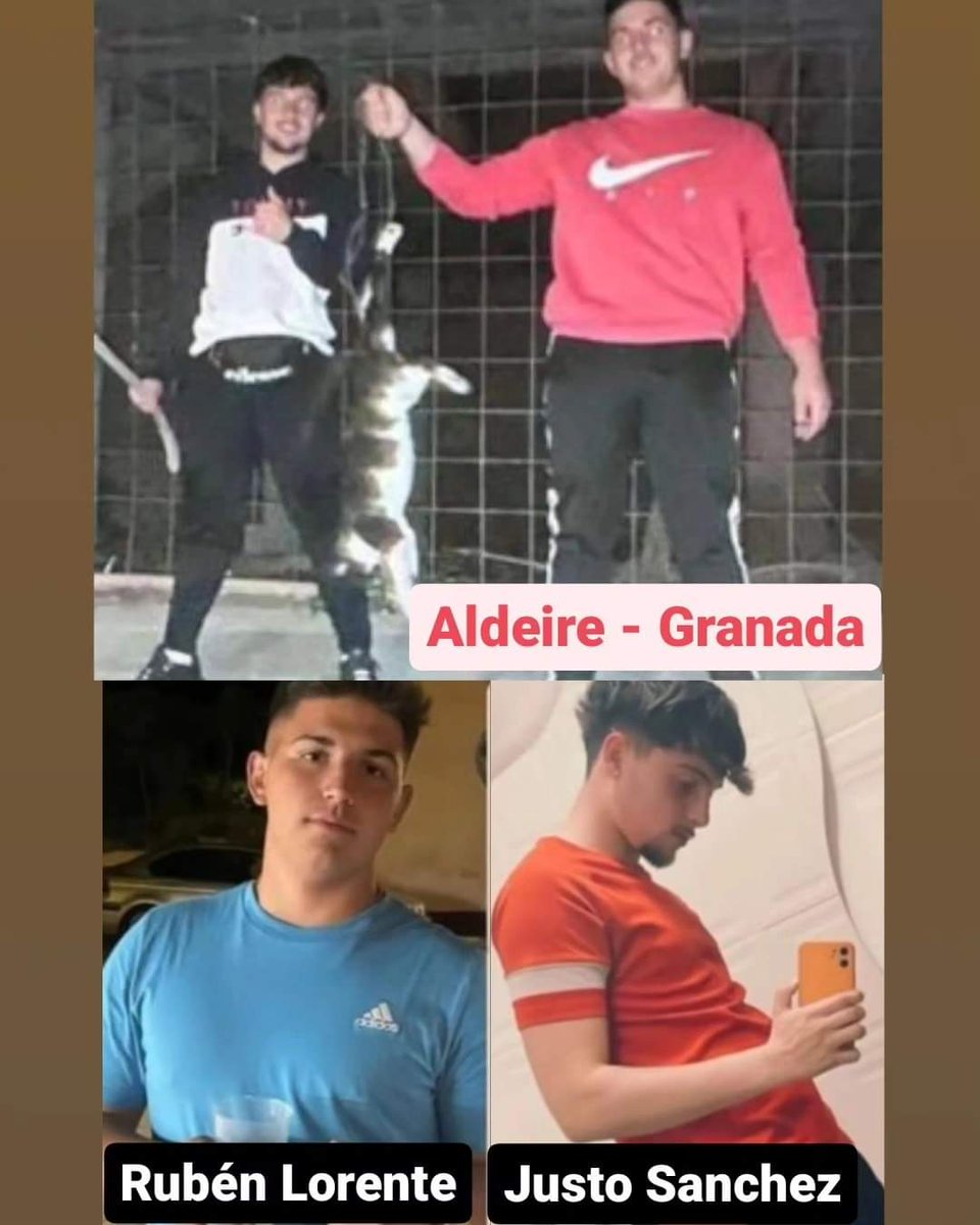 Harley_NotQueen's tweet photo. Denunciarme los que no tengáis alma.
Me suda el papo.

Queremos pan, queremos vino y a estos HDP colgados de un pino

Psicópatas #Aldeire
- Rubén Lorente
- Justo Sánchez 
Bajo la protección de su mami:
- Dolores Sánchez Domínguez
ayuntamiento@aldeire.es

@Aldeirenxs @PorAldeire https://t.co/JqzQTecfYC