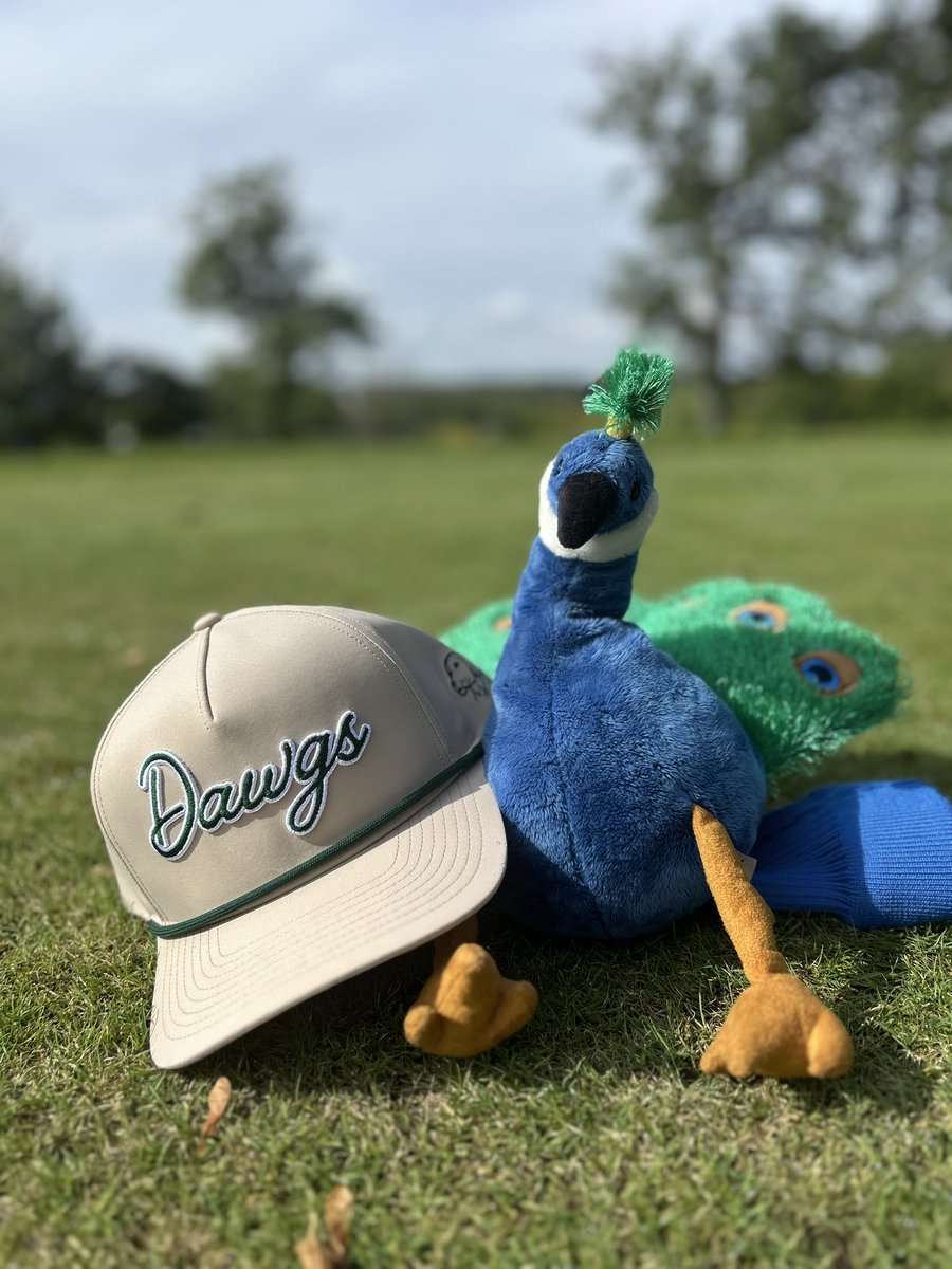 Big shoutout to one of our hole sponsors <a href="/DivotDawgs/">Divot Dawgs</a> for adding some sweet hats to the prize pool for our first annual Peacock Baseball Golf Outing! 

Let's see who's got that DAWG in them on Saturday!