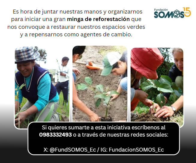 Fundacion SOMOS tweet media
