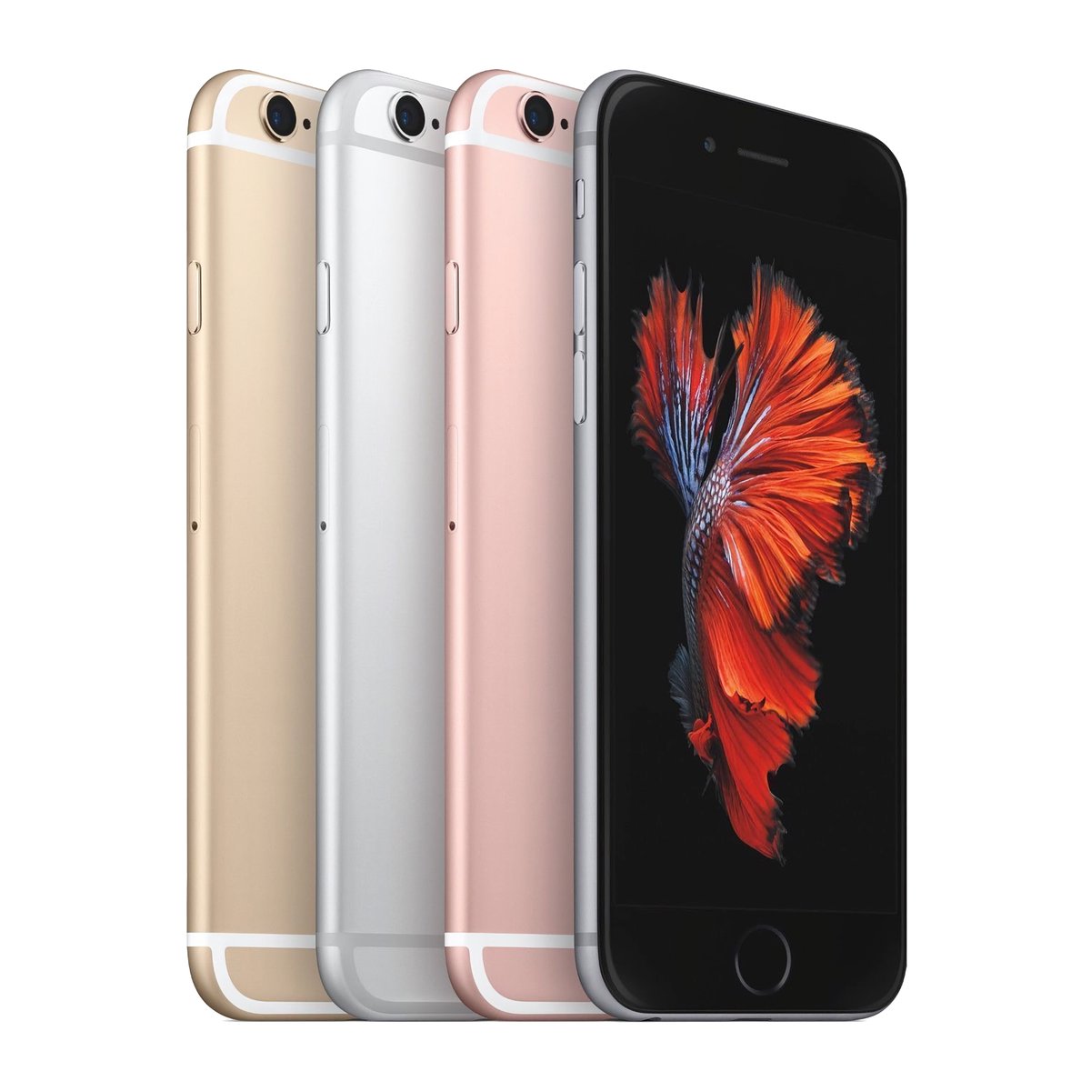 Apple Hub tweet media