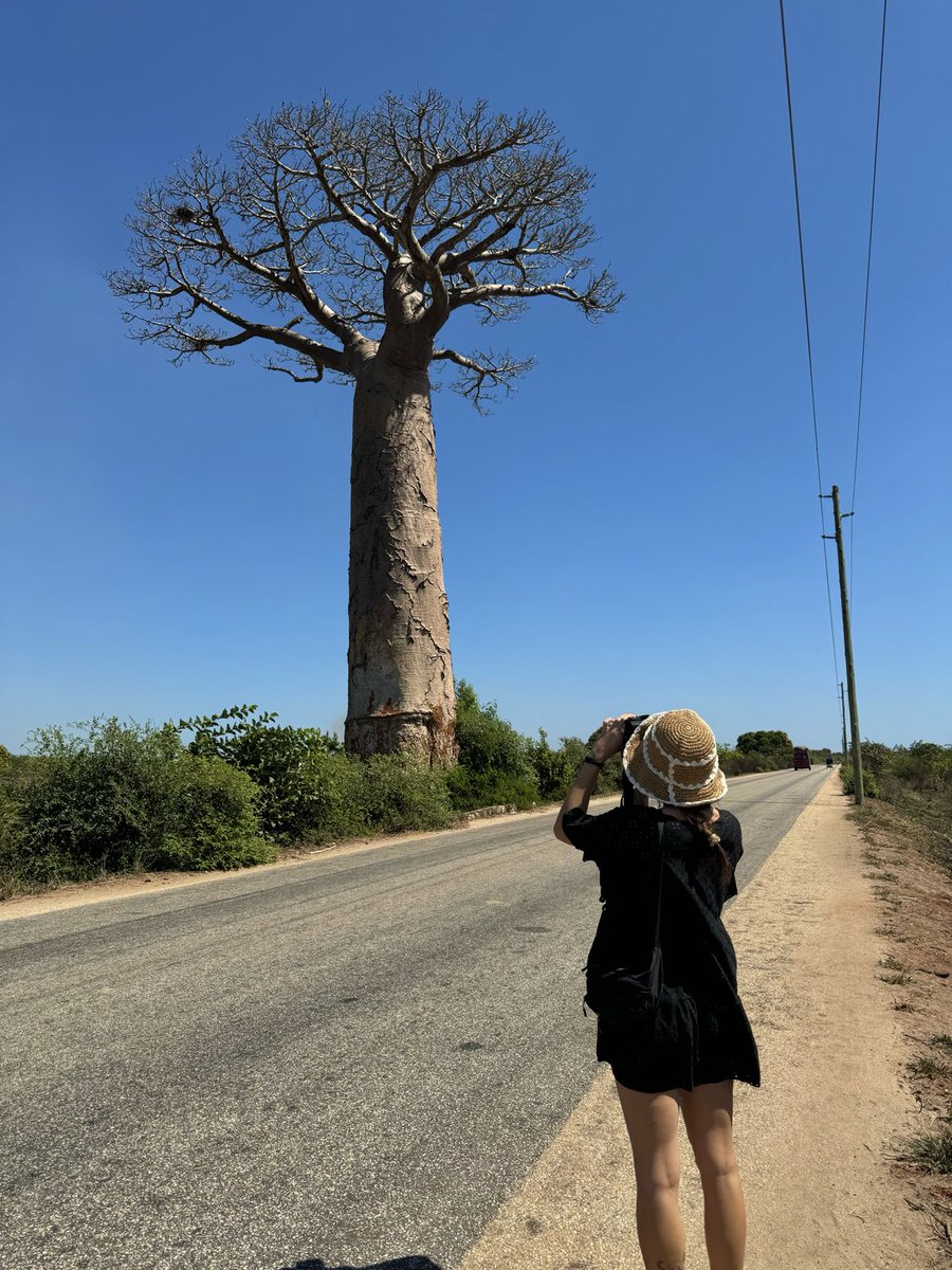 Seeing my first baobab in Madagascar! 😍