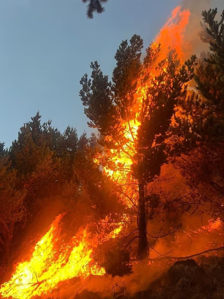 Sherlin Pacheco Viteri (@sherlin29) on Twitter photo 100 hectáreas de bosque arden en Pansache, parroquia de Aláquez, del cantón Latacunga, señor presidente <a href="/DanielNoboaOk/">Daniel Noboa Azin</a>, el Ecuador somos todos ¿Cuántos incendios más deben ocurrir para que nos tomen en cuenta? La naturaleza de Cotopaxi tampoco puede esperar. 100 hectáreas de bosque arden en Pansache, parroquia de Aláquez, del cantón Latacunga, señor presidente <a href="/DanielNoboaOk/">Daniel Noboa Azin</a>, el Ecuador somos todos ¿Cuántos incendios más deben ocurrir para que nos tomen en cuenta? La naturaleza de Cotopaxi tampoco puede esperar.