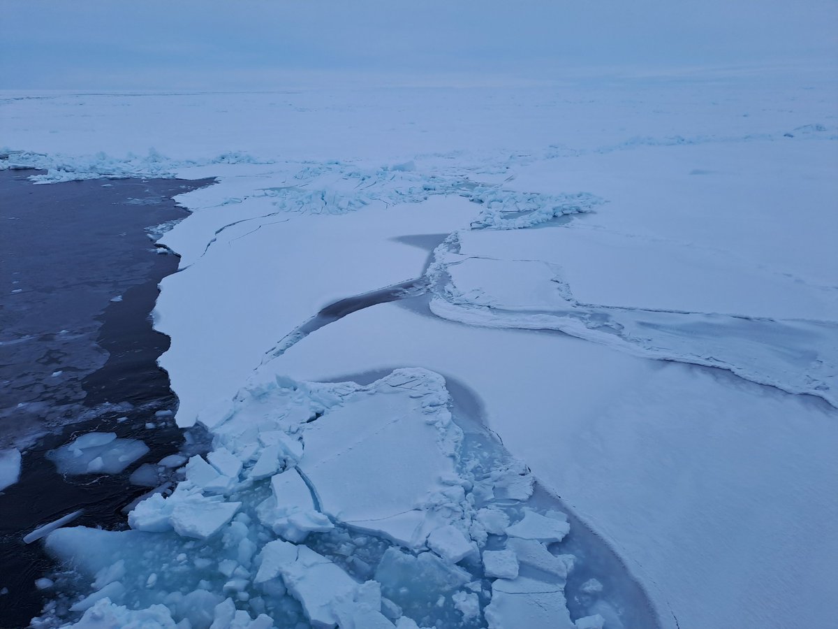 Count the #SeaIce types on this picture
#Arctic #PS144 #Cryosphere #OnThinIce