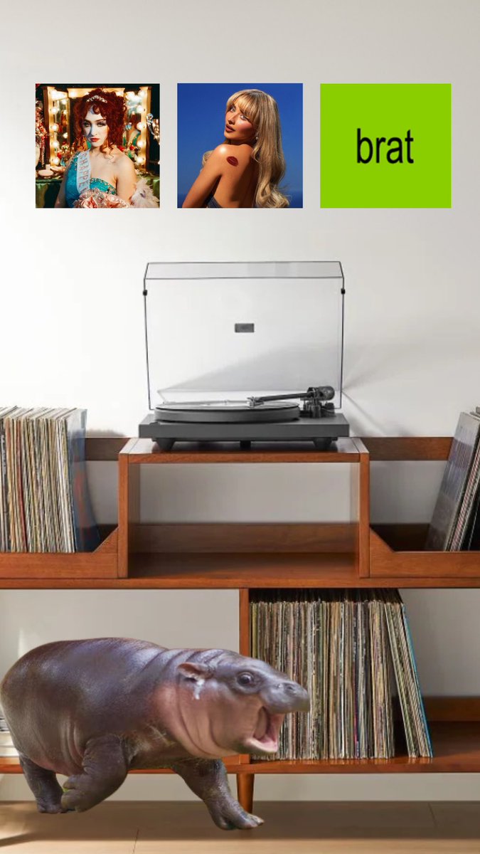 Moo Deng’s big 3 summer albums 🎶