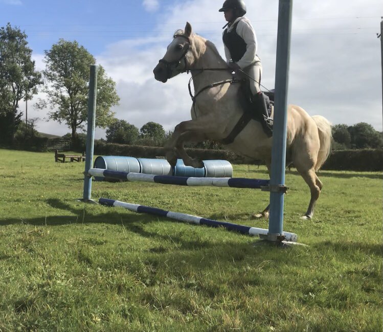 Sedbergh Prep Riding tweet media