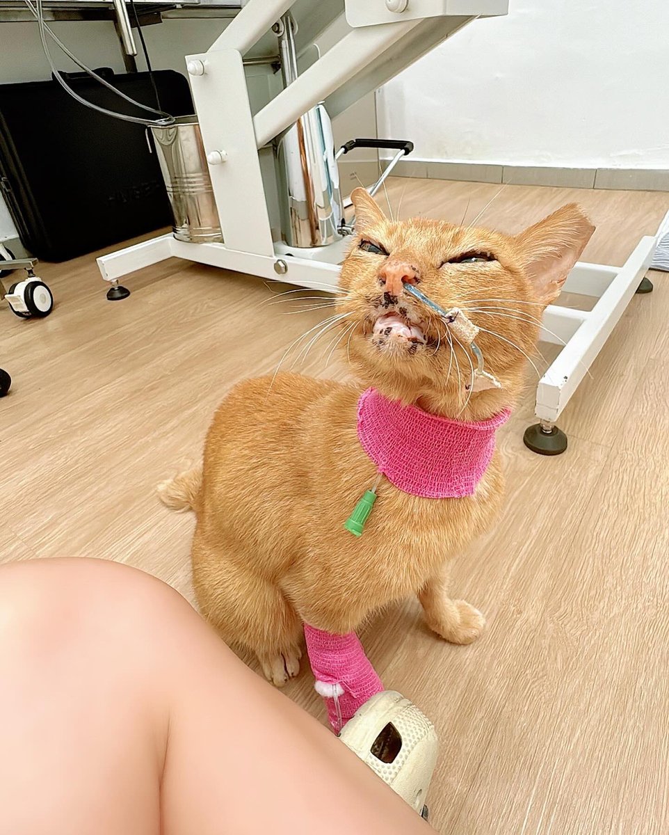 WBenzon's tweet photo. Thank you for fighting my brave little one and holding on to the hope that someday you will be completely healed. I promise to do anything for you to keep you safe. I will always be here for you. Today, tomorrow and every single day after that. I love you!! https://t.co/dThCTpkhLq