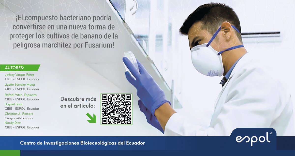 El Potencial de los #Streptomyces antárticos❄️🦠
Destacamos la publicación #Q1 de nuestro investigador M.Sc. Jeffrey Vargas, sobre el potencial antifúngico de cepas de *Streptomyces* de suelos antárticos contra #FusariumOxysporum 
🔗sciencedirect.com/science/articl…