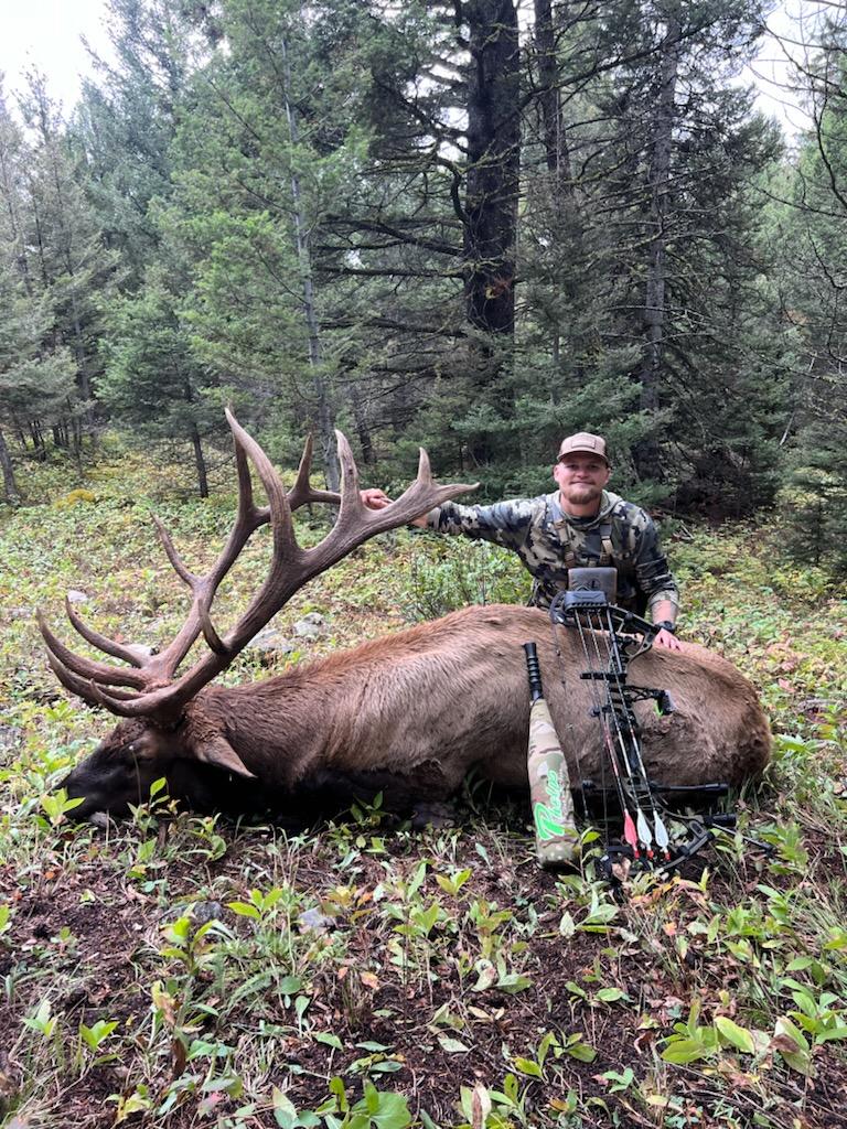 Dana Sleezer tweet media