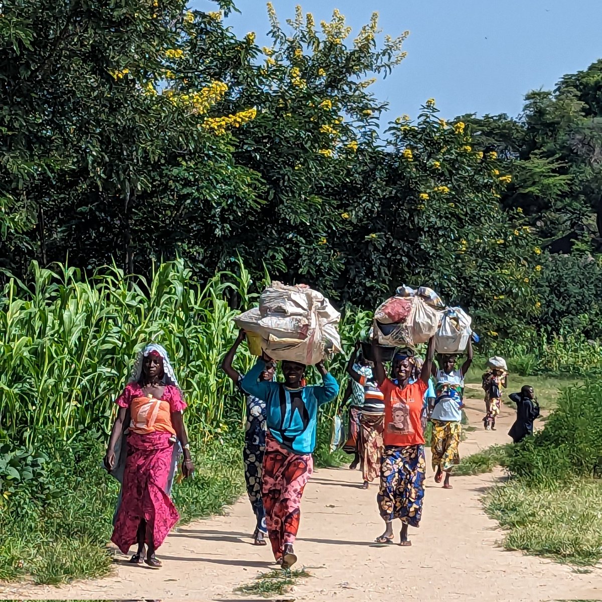 delorsmabout's tweet photo. Depuis le 23 septembre !!! Le personnel de santé est à pied d'œuvre pour le rattrapage des enfants qui ont un défaut de vaccination !!! 

Plusieurs communautés échappent au bon suivi de cet acte médical notamment les populations déplacées internes qui pour des raisons https://t.co/QwASFrkr5o