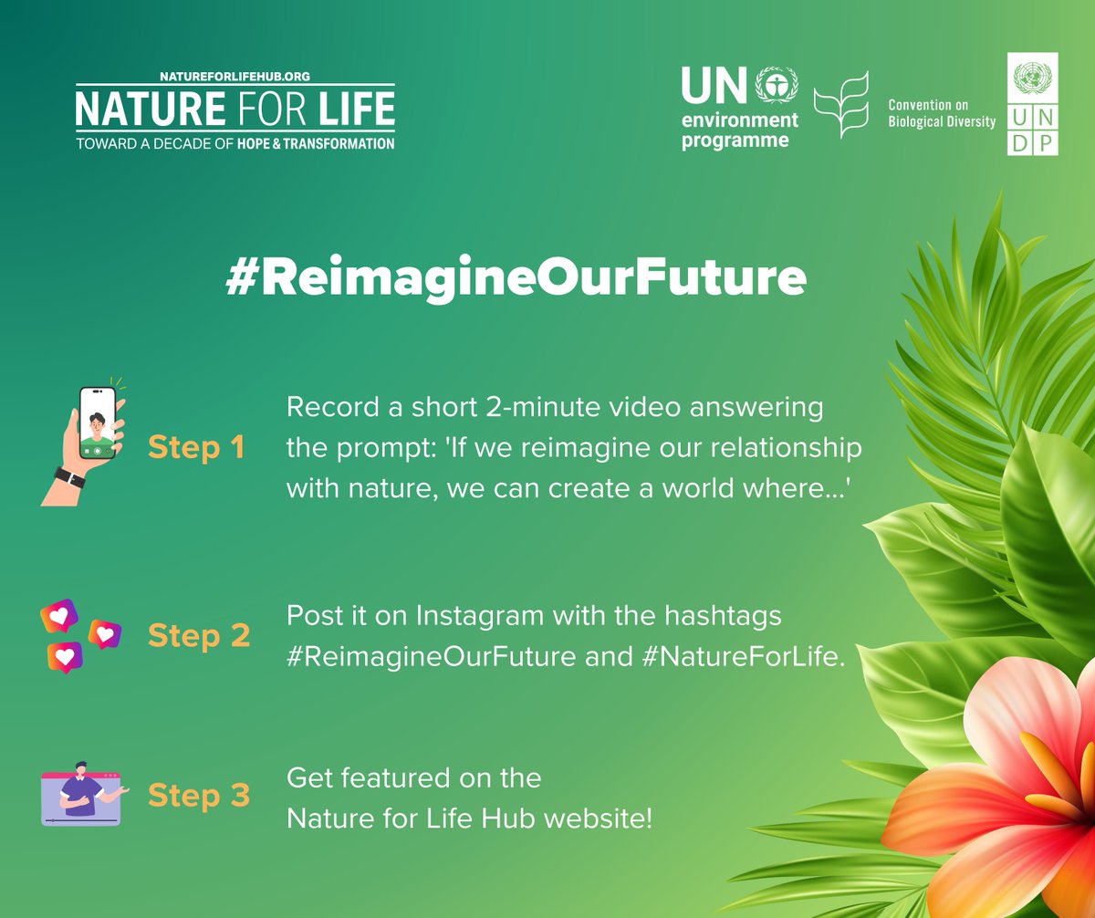 BES-Net (Biodiversity and Ecosystems Network) (@besnet_undp) on Twitter photo 💭 What does a future look like where nature and humans thrive? 👩🌾🤝🌱
Join the #ReimagineOurFuture video campaign on IG and share your vision.
Get featured on the #NatureForLife Hub website and inspire the world with <a href="/UNDP/">UN Development</a>, <a href="/Learning4Nature/">Learning for Nature</a> & <a href="/UNBiodiversity/">UN Biodiversity</a>. 💭 What does a future look like where nature and humans thrive? 👩🌾🤝🌱
Join the #ReimagineOurFuture video campaign on IG and share your vision.
Get featured on the #NatureForLife Hub website and inspire the world with <a href="/UNDP/">UN Development</a>, <a href="/Learning4Nature/">Learning for Nature</a> & <a href="/UNBiodiversity/">UN Biodiversity</a>.
