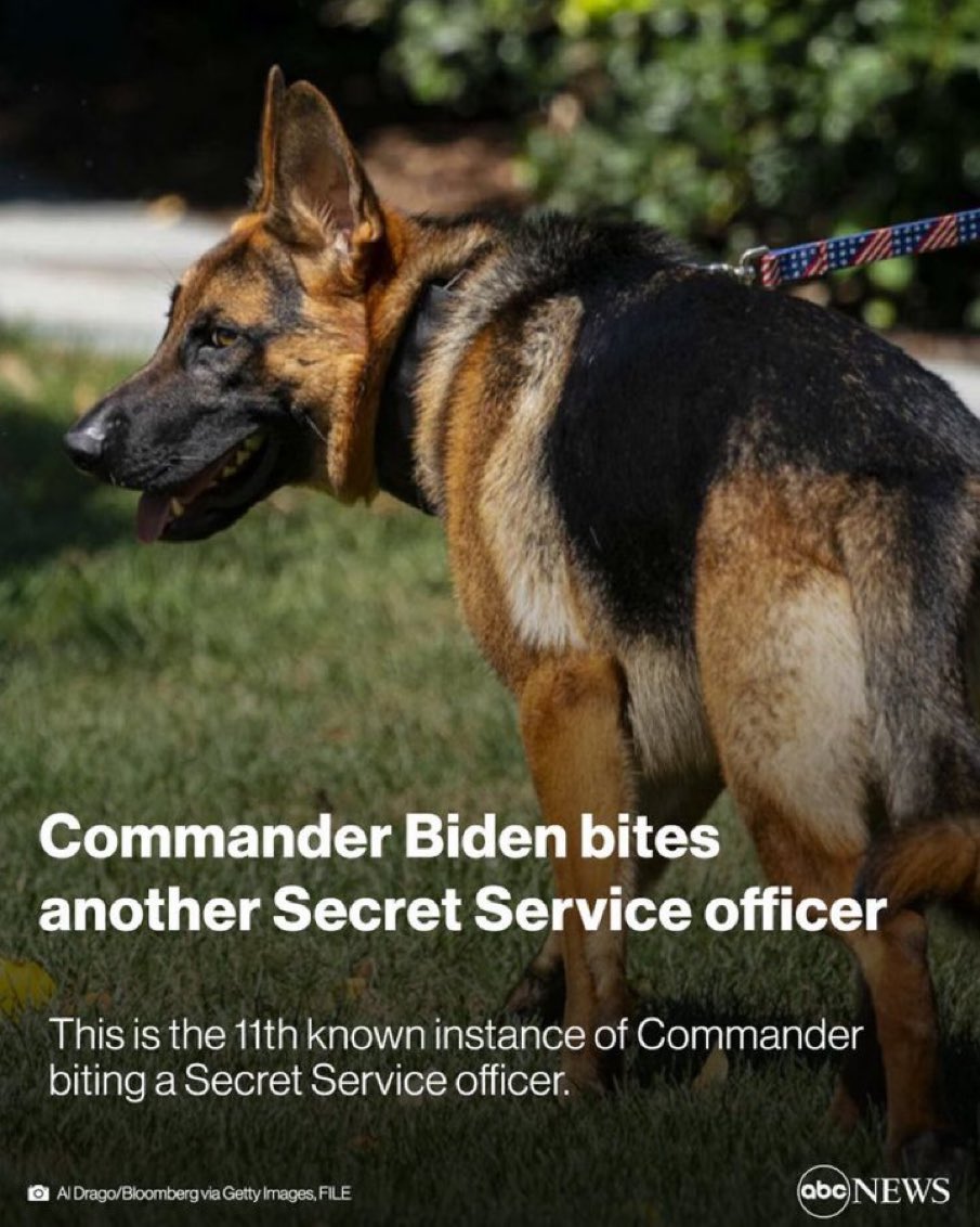 mistergeezy's tweet photo. Commander knew. https://t.co/PoM41gzYG8