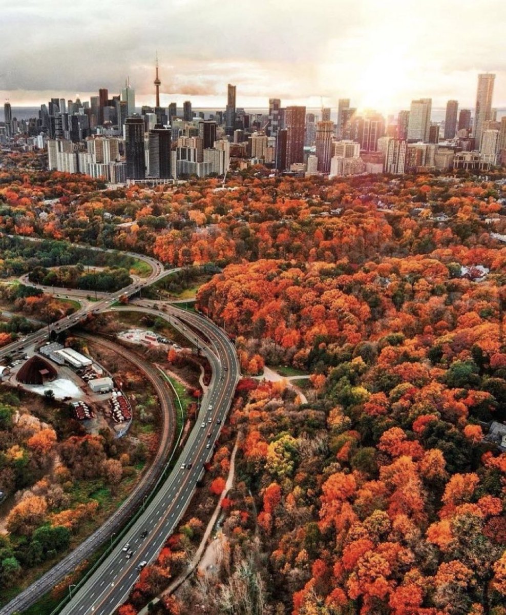 The 416 during fall 🍂 🍁