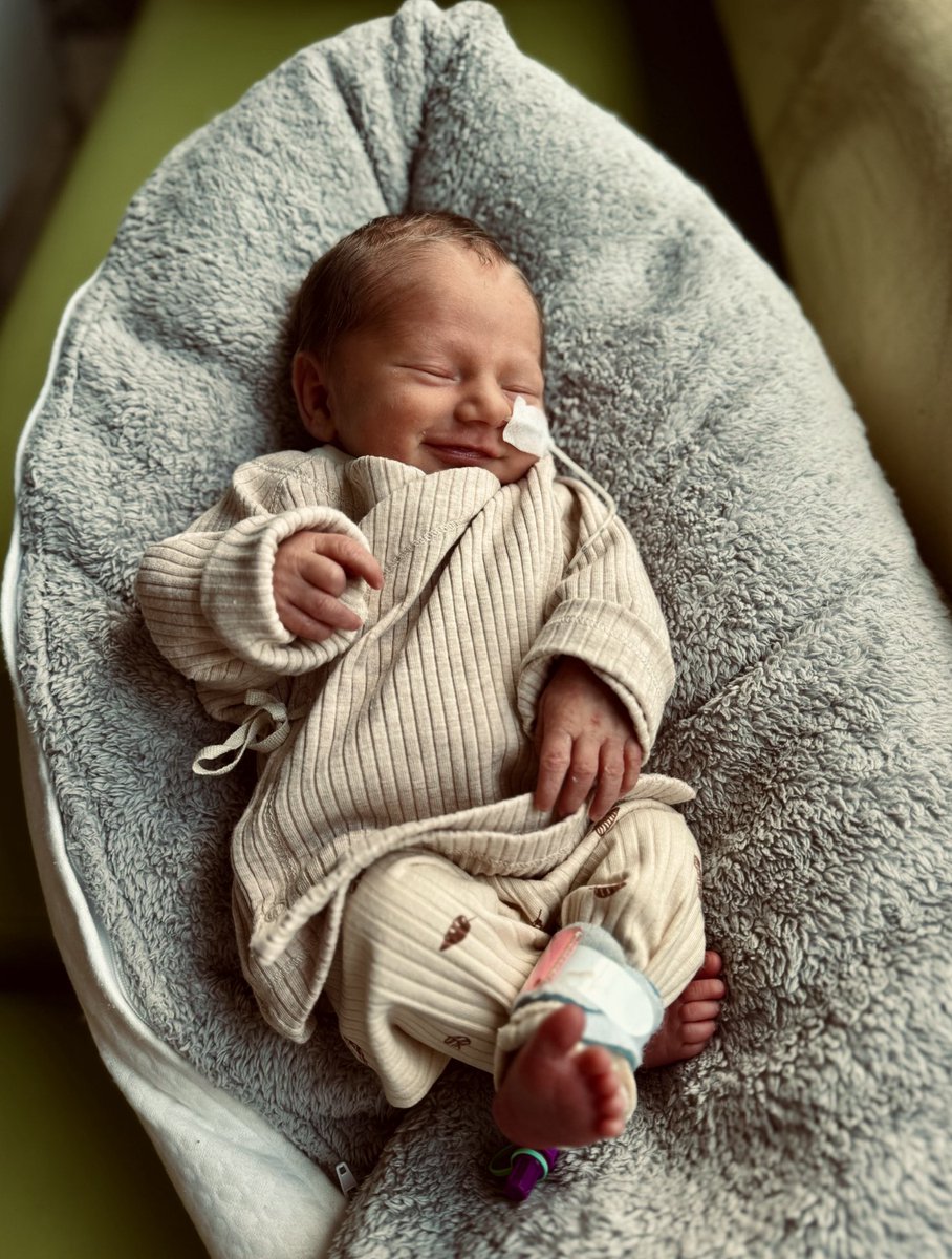 Lilian Marijnissen tweet media