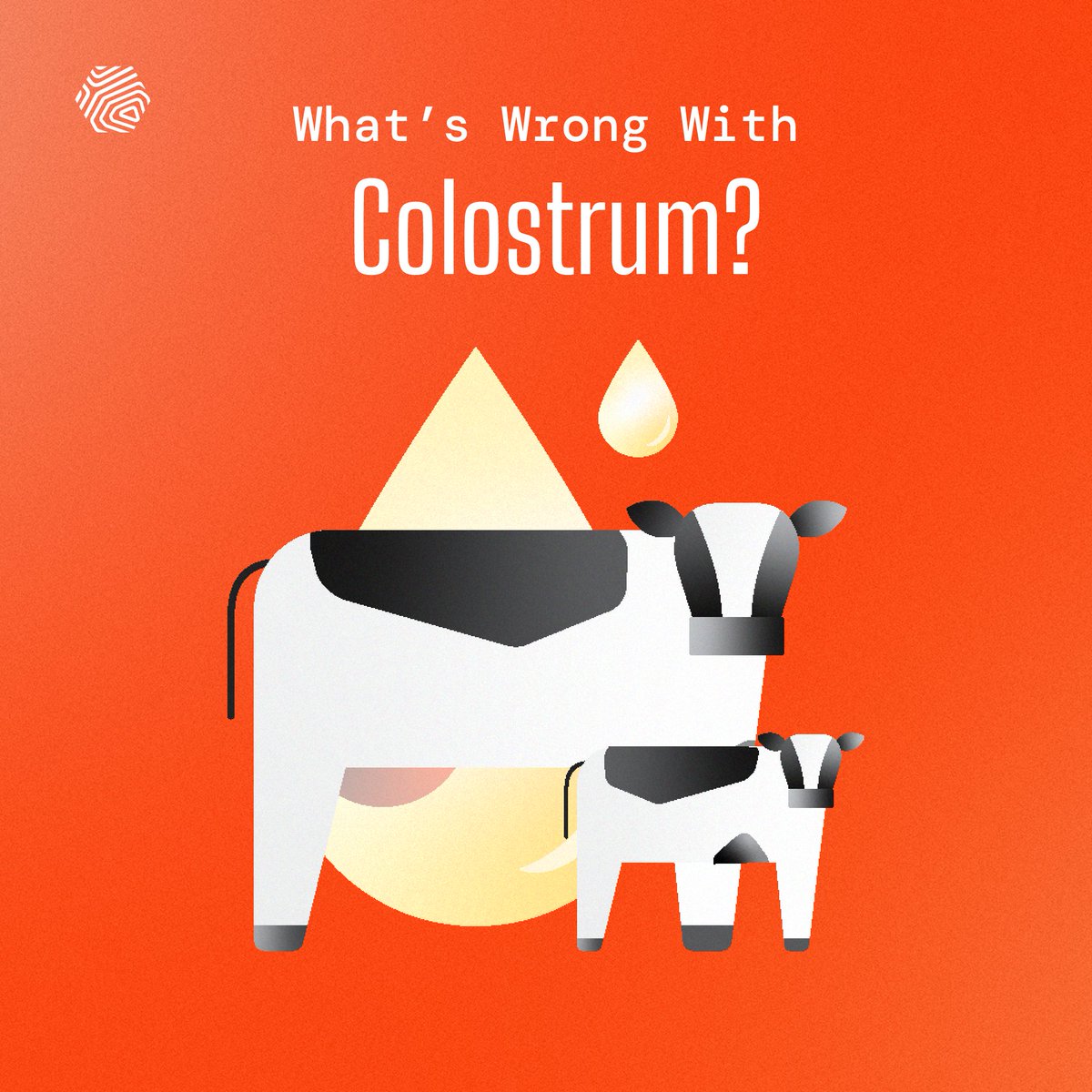 TurtleTree_'s tweet image. #Colostrum is trending...

But the reality is that there a few potential issues that come with colostrum&apos;s production and impact.

This is yet another reason why precision fermentation is revolutionizing the industry.

LF+ is our #Lactoferrin created through…