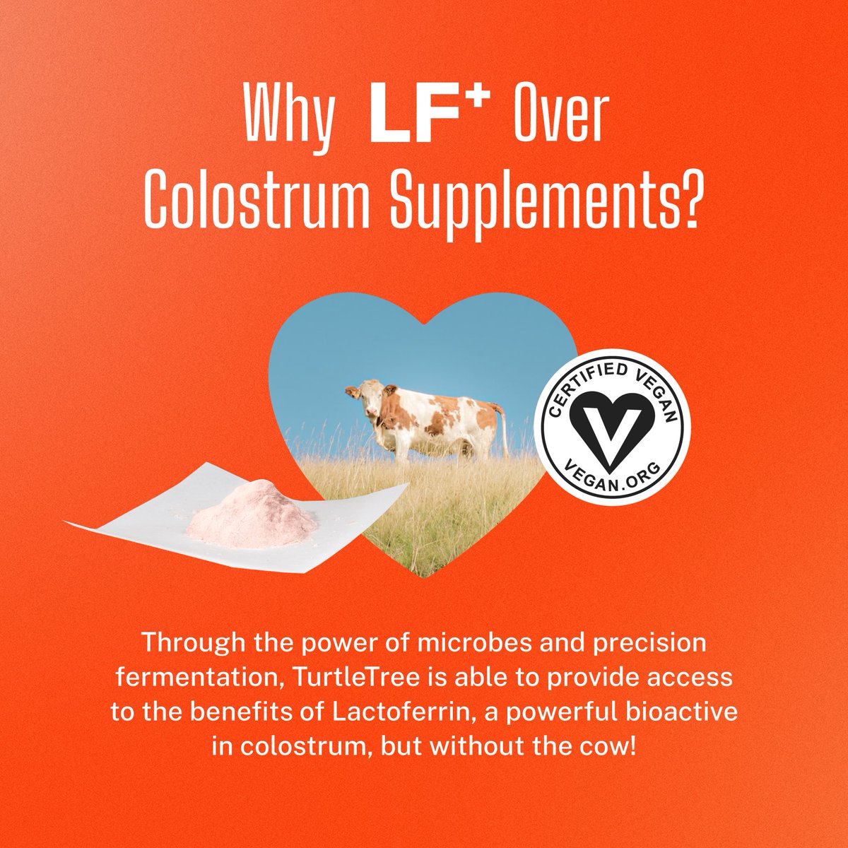 TurtleTree_'s tweet image. #Colostrum is trending...

But the reality is that there a few potential issues that come with colostrum&apos;s production and impact.

This is yet another reason why precision fermentation is revolutionizing the industry.

LF+ is our #Lactoferrin created through…