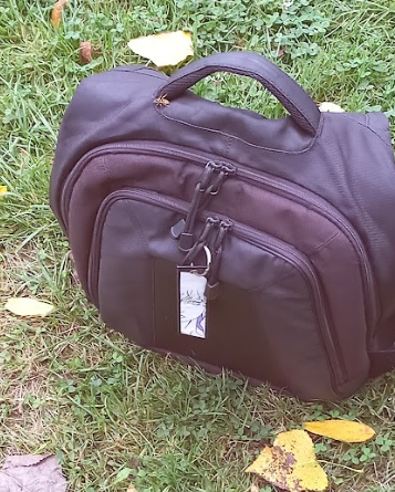 Neco The Sergal tweet media