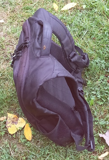 Neco The Sergal tweet media