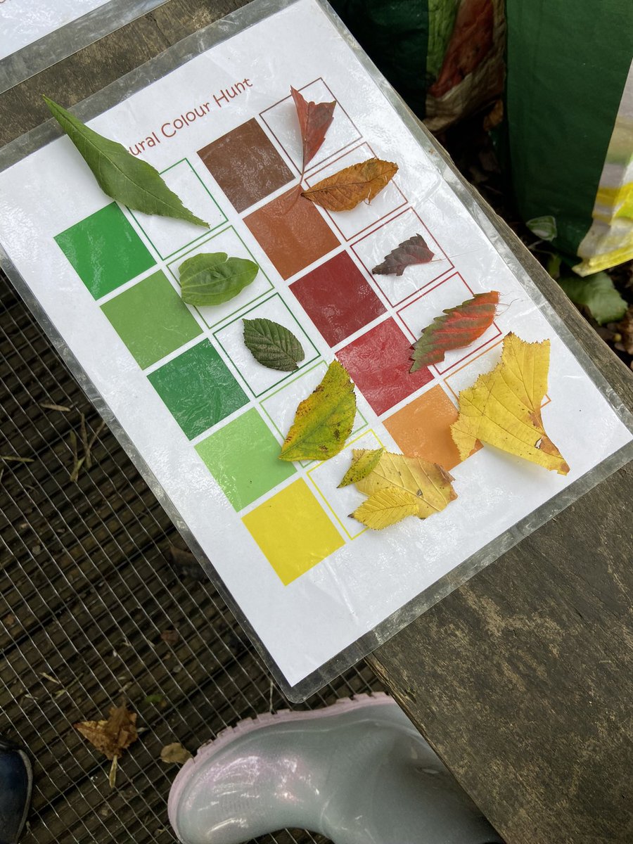 TaylormadeOL's tweet photo. Reception class @BrockholesCofE did a great job searching for and matching colours in nature! 👏🏽🎨 https://t.co/aQ5q0rrFEW