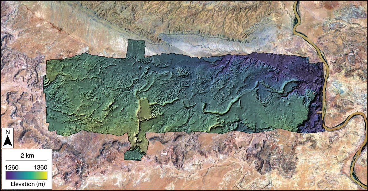 Cole Speed tweet media