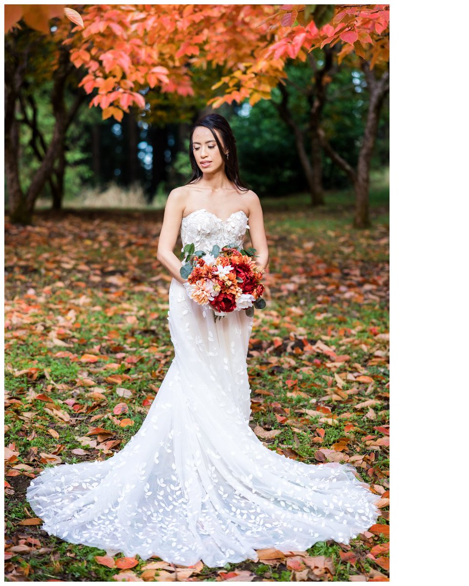 insbystudio's tweet photo. Just ‘cause #fallseason is here, and it makes everything so dreamy. 🍂🧡

Golden leaves, orange hues, and love in the air! Fall weddings bring all the cozy vibes. 🍁✨
#fallweddings #fallseason #californiafallweddings #fallweddinginspo #norcalweddings #californiaweddings https://t.co/T2lYL1HLFK