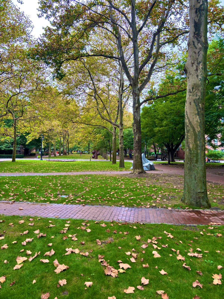 Pratt Institute 🍂🍃
Brooklyn, NY