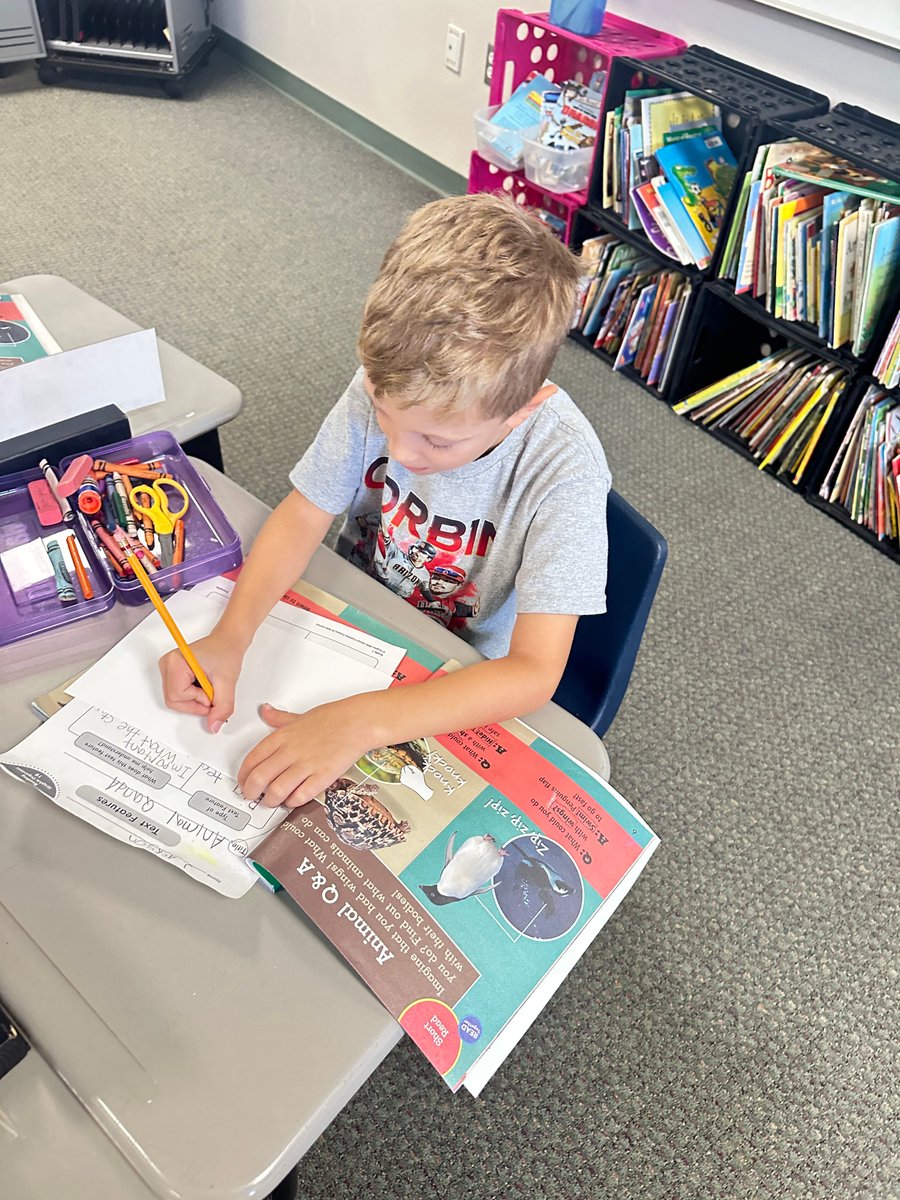 MPESMavericks's tweet image. Our first graders are hard at work learning about labels and how this text feature can help readers to understand the text! 🌟💚🌟#WeAreLearning #WeAreMavericks