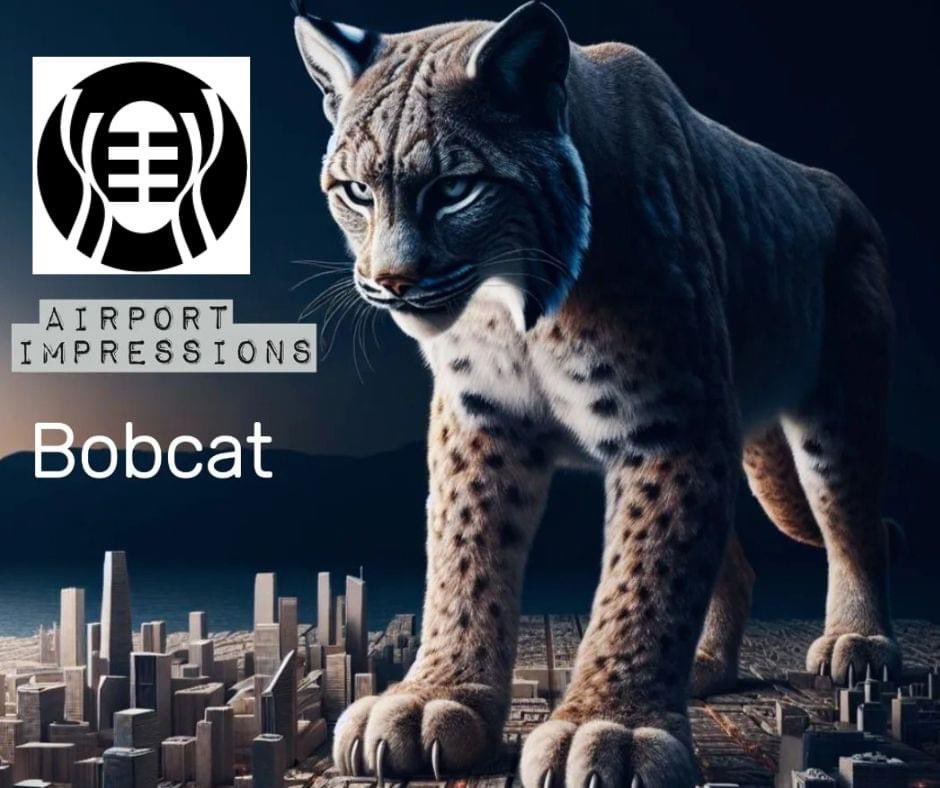 ♫ SRWorldwide Music (@srworldwidem) on Twitter photo TEXAS is in the house..... Big shout out to <a href="/BBSRadio/">BBS Radio TV</a> for adding Airport Impressions new single 'BOBCAT' to all their listeners.
Thank you and appreciate the support! <a href="/AIBandMalta/">Airport Impressions</a>
#AirportImpressions #radio #BBSRadio #newrelease TEXAS is in the house..... Big shout out to <a href="/BBSRadio/">BBS Radio TV</a> for adding Airport Impressions new single 'BOBCAT' to all their listeners.
Thank you and appreciate the support! <a href="/AIBandMalta/">Airport Impressions</a>
#AirportImpressions #radio #BBSRadio #newrelease