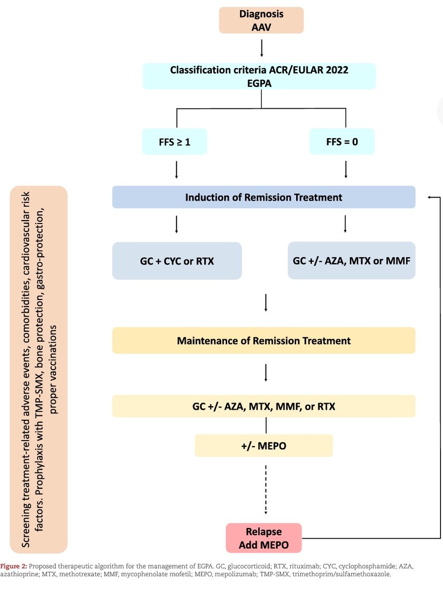 Autoinmunes Medicina Interna Parc Taulí tweet media
