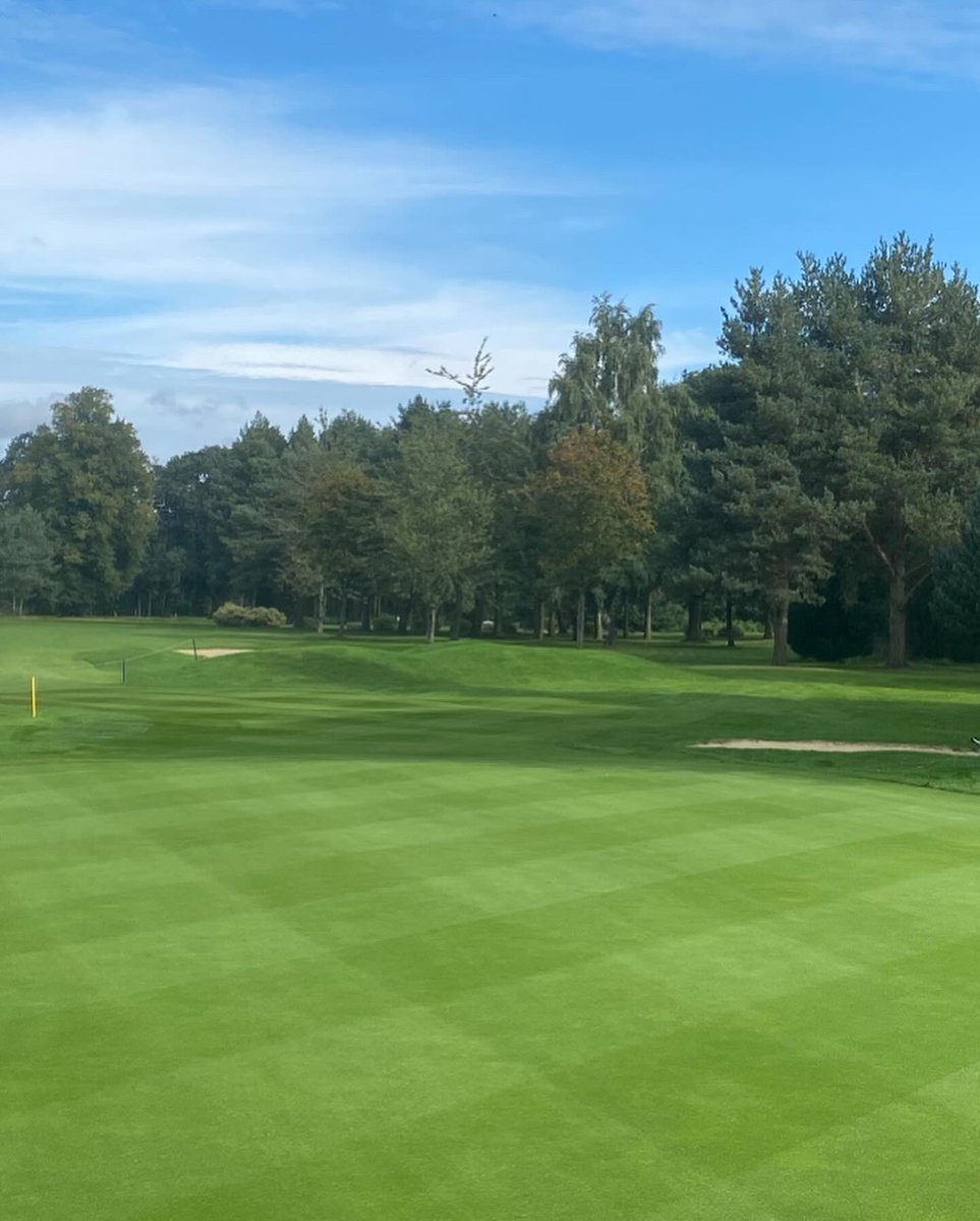 maxstokepark_gc's tweet photo. Great to have the @toro_uk Pro-core out

All 18 greens tined so far this week. Letting the ⛳️ greens breathe 🌧️ 

Greens recovered well &amp; were looking great 👍🏻 

https://t.co/pKAjTWZcW1

⛳️🏌️‍♀️🏌️

#MPGC #MaxstokeParkGC #Warwickshire  #golfcourse #visitnorthwarwickshire https://t.co/6dddzpitTi