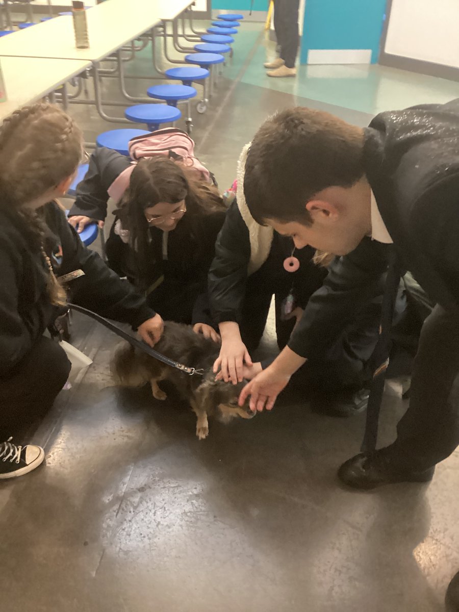 MarineSecondary tweet media