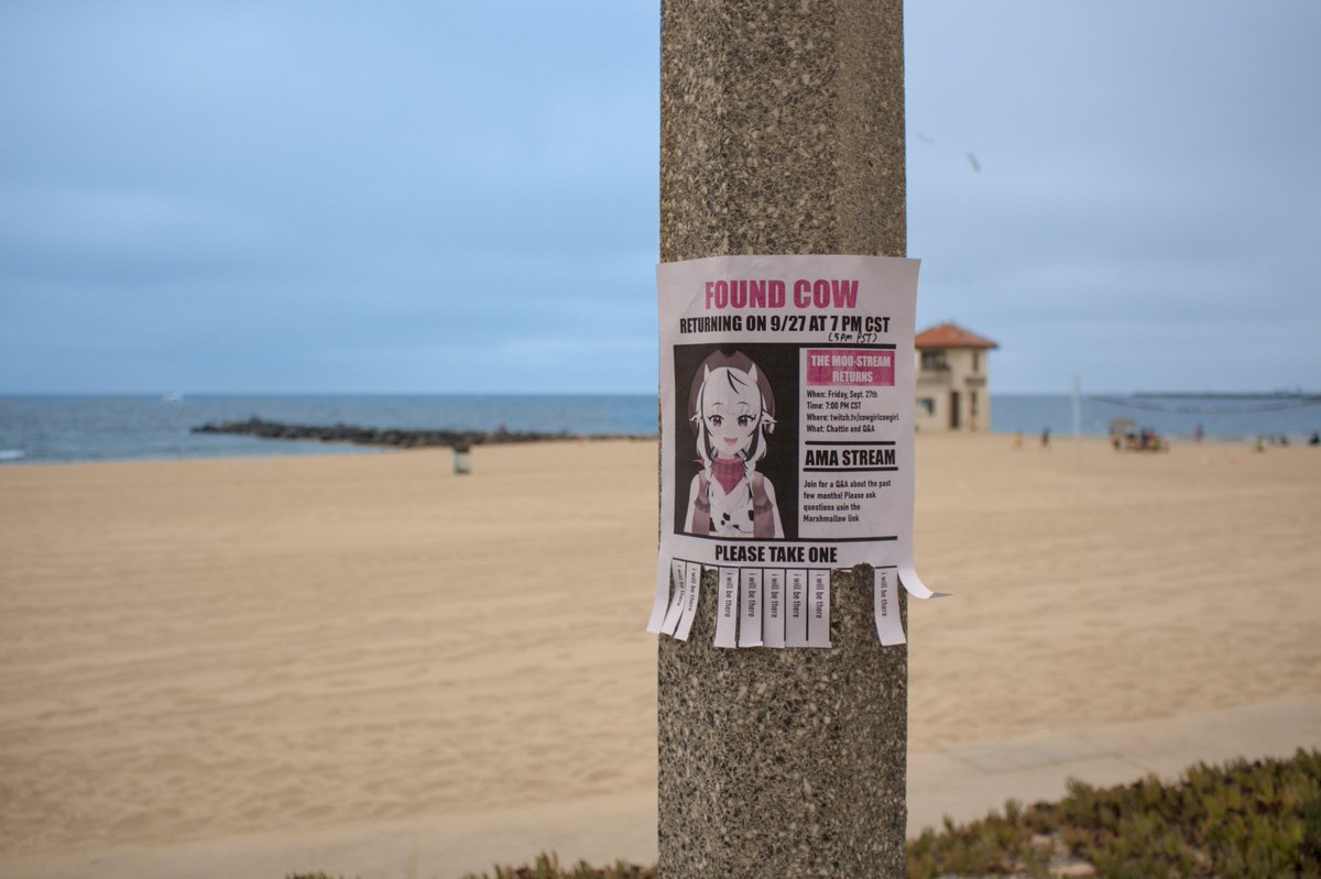 Jackal_Z_524's tweet photo. Took a walk down by the beach and saw this nifty thing. Weird finding this in California of all places, but I'm glad they found her. Thought she was a burger by now
#moostreamreturns https://t.co/LZ1RdzxI97